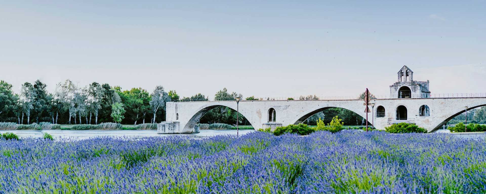 Vue sur le pont avignon sur le fleuve devant un parterre de fleurs / photo Xuan Nguyen
