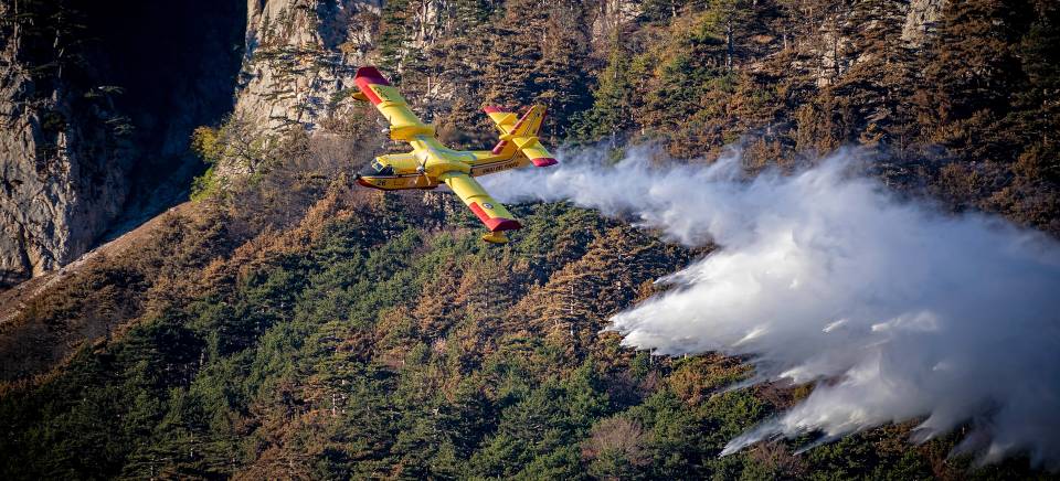 Canadair en action lors d'un incendie de forêt en France