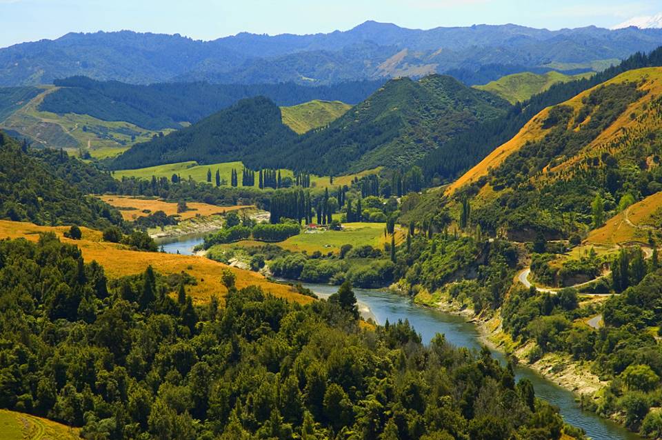 Vue sur le fleuve Whanganui en Nouvelle-Zélande