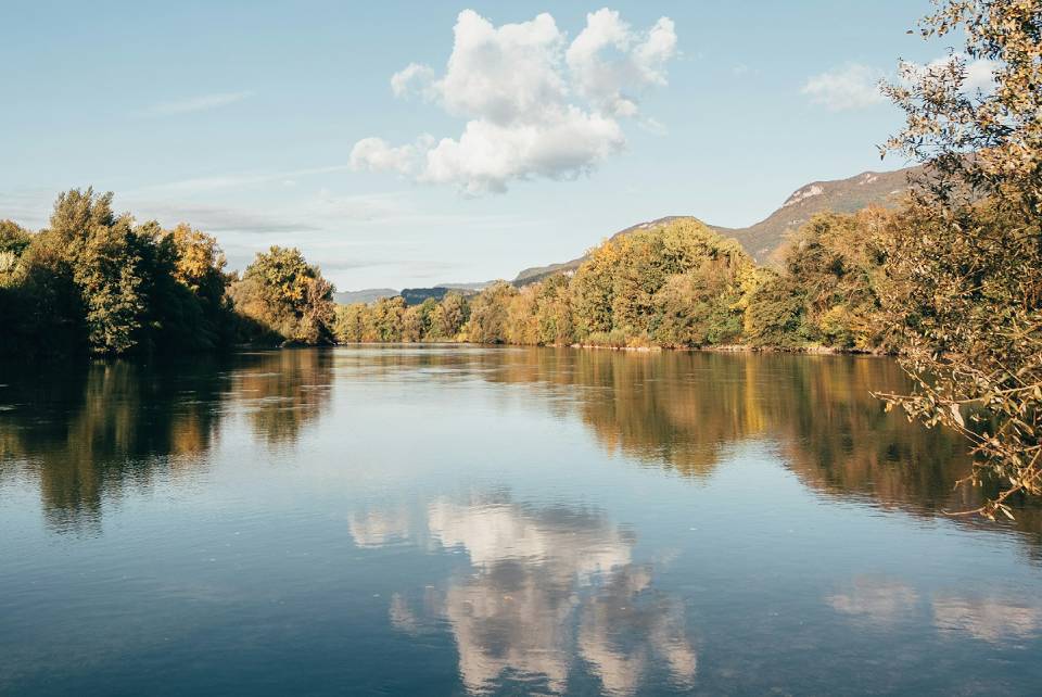 Vue sur le fleuve Rhône sauvage et ses berges arborés